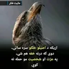 usamaahmadzai