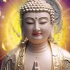 an toàn và lành mạnh