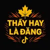 🌲Thấy Hay🌴Là Đăng🍁