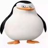 .hi1i
