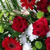 user60205450006621