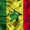 bintou.ndiaye6788