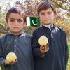 pir.aman4