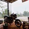 zall_sultra02
