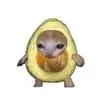 mynameisgianhehe