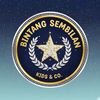 Bintang sembilan