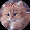 muhammad.faisal.223