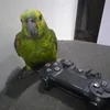 henriqueleal571