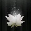nho_anh044
