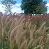bch.nguyn5762