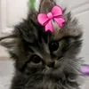 maryammimi038