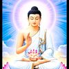 ko.thet7054