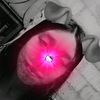 user6366348019161
