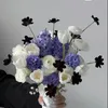 qung.ch.h6