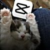 calm_editor1