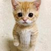 vicky_200036