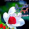 rafiq.ahmed3940