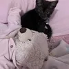 mmaryammcats