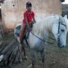 sz_davizin0