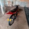 masg517
