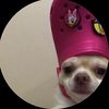 zanny_511