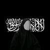 abir1430zn