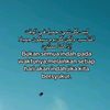 sarr_133