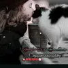 vhshhd.bsndpooiwb