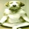 user570612442