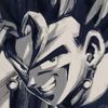 vegito.blu85