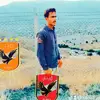 shex_kanabi