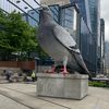 pigeon.shoe