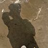 larboy_24