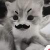 marzicxx