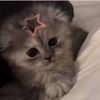 notification_0fficall