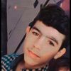 user86520084956