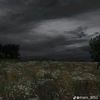 hana_saad79