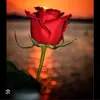 lamia.antouz