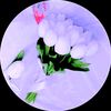 user2031190657263