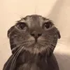 stardriftvr
