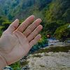 durienrekang12