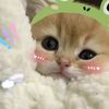 baby.saja6114