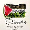 sara.mohamed8804