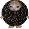._.fremal