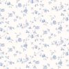lielie2568