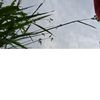 user6033277919851