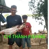 chithanhfishing_pro