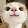 cuuu4513