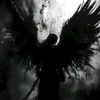 zxgggq
