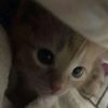 kyysyyaa_